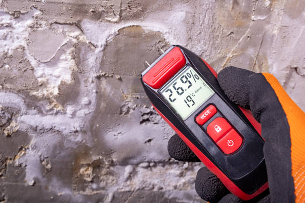 Professional Mold Removal in Ester, AK