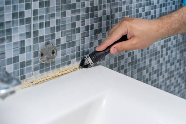 Best Mold Remediation Services  in Ester, AK